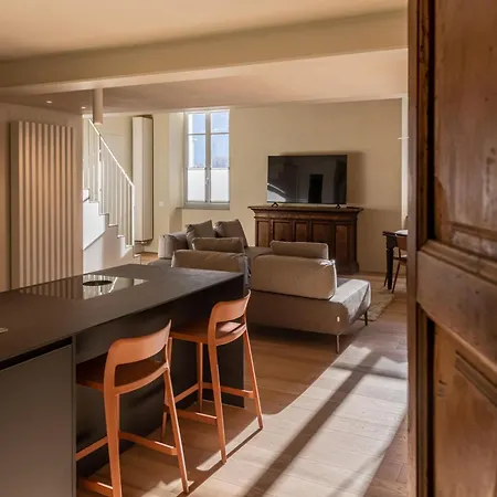 Des Barons - Palais Ansermin - Dimora Storica 公寓