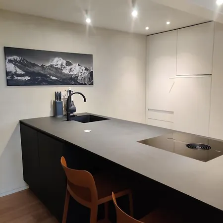 Des Barons - Palais Ansermin - Dimora Storica *