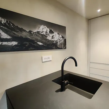 Des Barons - Palais Ansermin - Dimora Storica * 奥斯塔