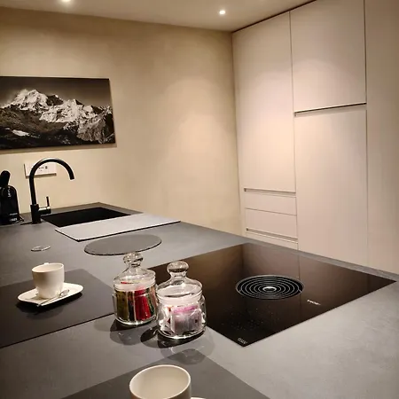 Apartment Des Barons - Palais Ansermin - Dimora Storica Aosta